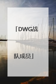 「DWG战队成员」DWG战队成员名单