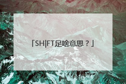 SH|FT足啥意思？